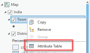 Attribute table